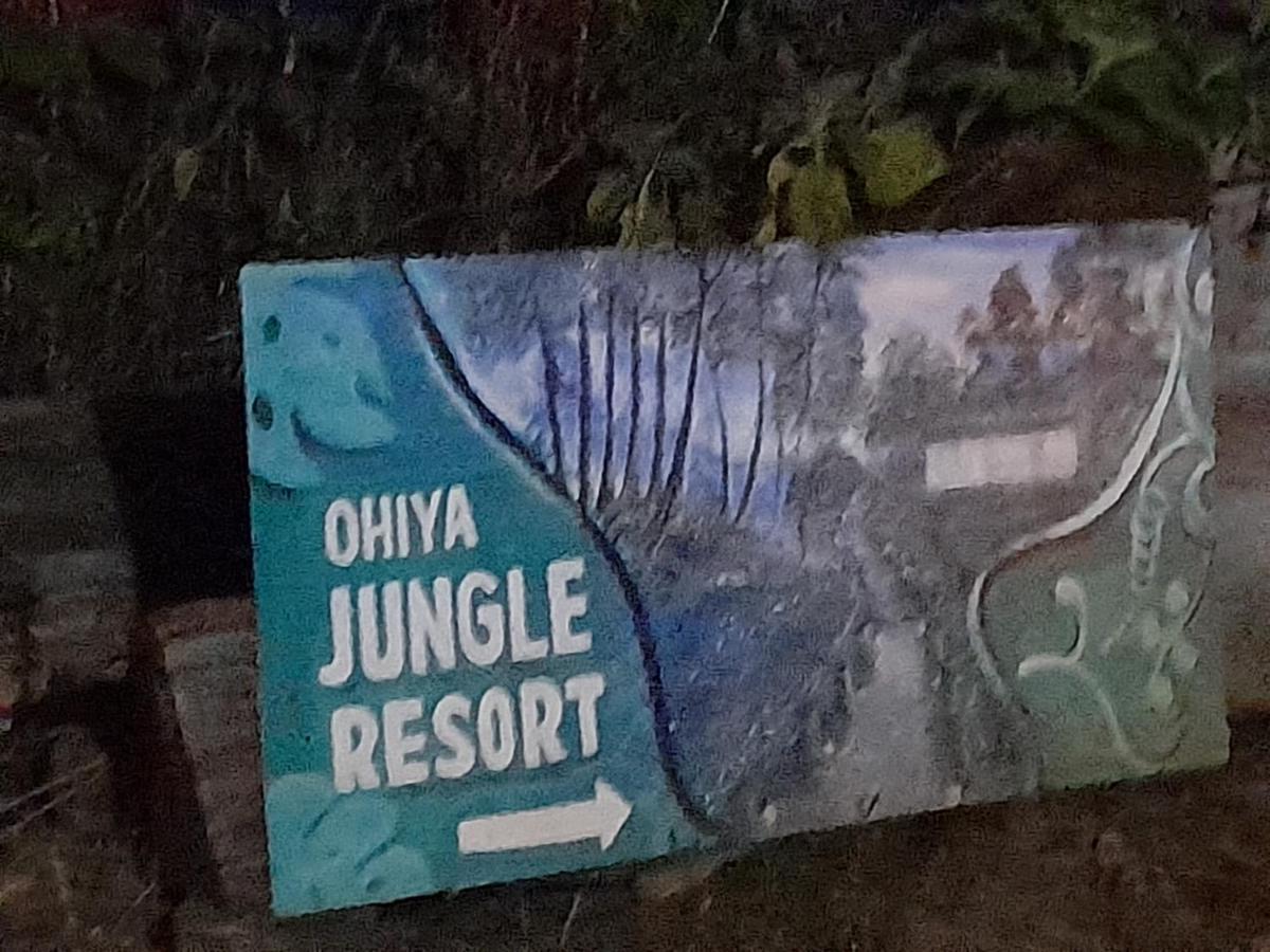 Ohiya Jungle Resort Esterno foto