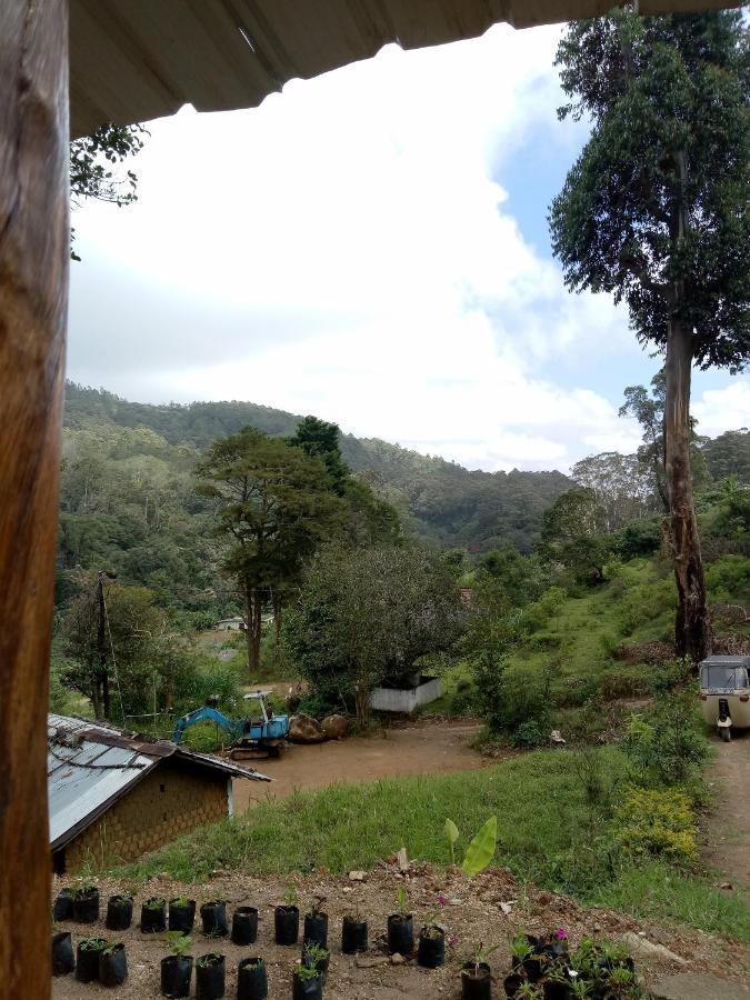Ohiya Jungle Resort Esterno foto