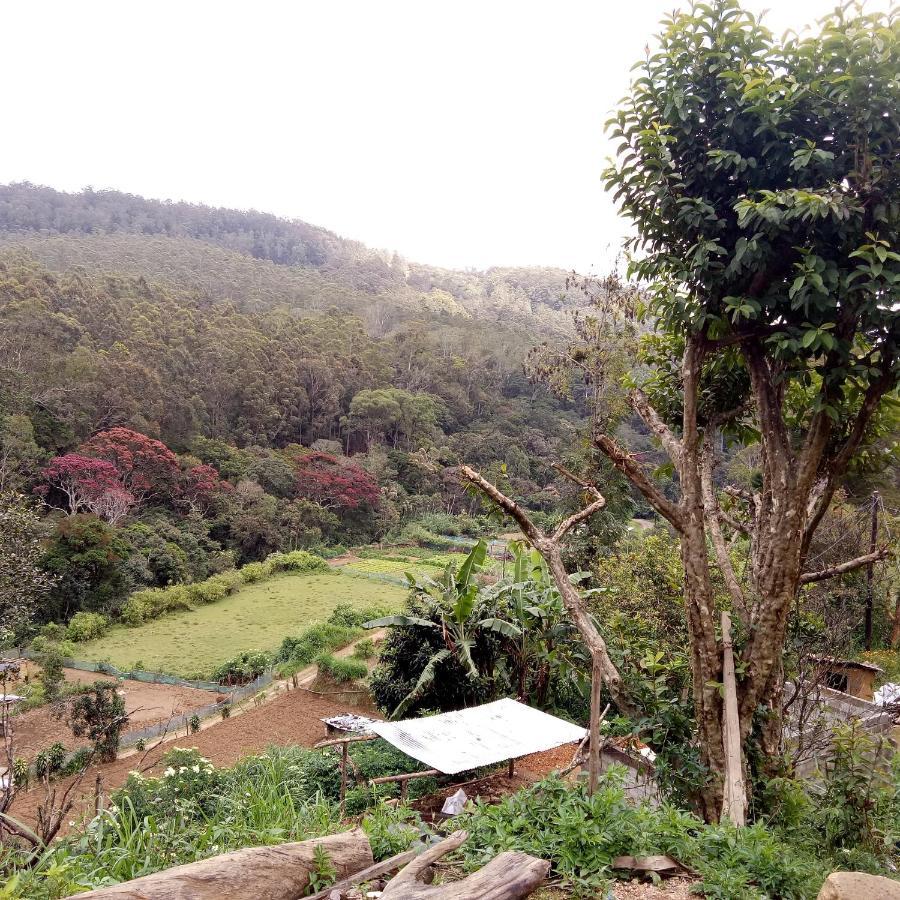Ohiya Jungle Resort Esterno foto
